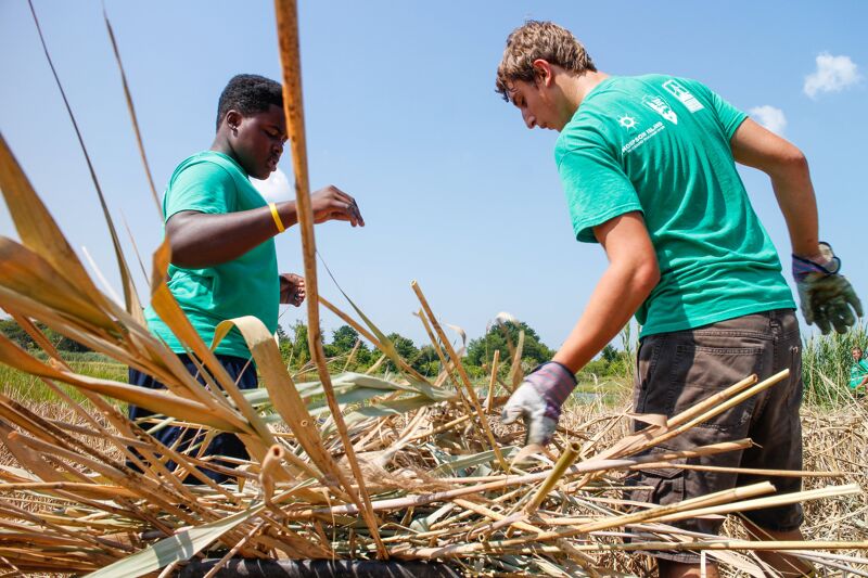 The image shows two young men working outdoors on a sunny day. They are both wearing green t-shirts and gloves, and appear to be involved in some kind of manual labor, possibly clearing vegetation or working on a farm. The background includes dry grass and a clear blue sky.