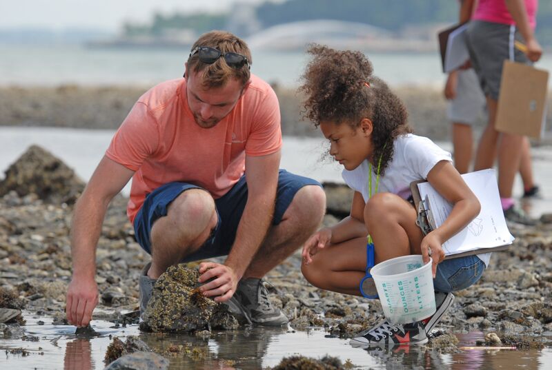 In the image, a man and a young girl are examining something on a rocky shore. The man, wearing a coral-colored shirt and sunglasses, is pointing at something with a small tool. The girl, with curly hair, is holding a container and a clipboard. They appear to be engaged in a scientific or educational activity, possibly exploring marine life.
