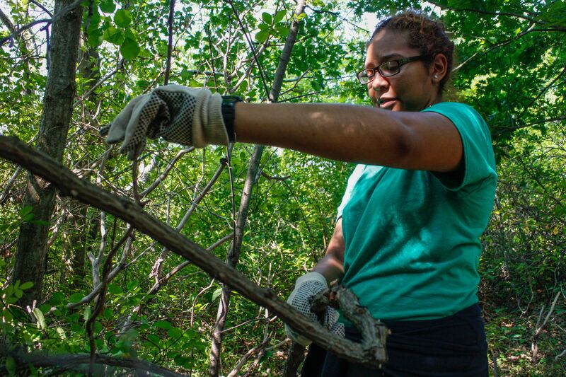 In the image, a woman with glasses and gloves is working in a wooded area. She is wearing a green shirt and appears to be handling a branch. The background is filled with trees and foliage, suggesting an outdoor environment. The woman seems focused on her task.