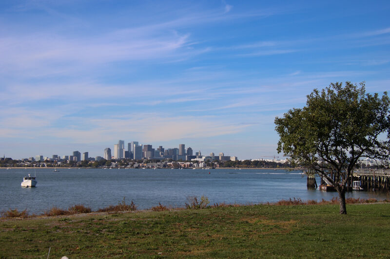 The image shows a scenic view of a city skyline across a body of water. A small boat is visible on the water, and a tree stands in the foreground on a grassy area. The sky is blue with some clouds. The overall impression is one of tranquility and natural beauty combined with urban elements.