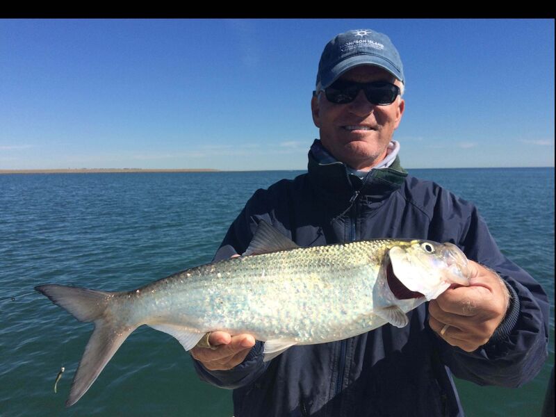 A smiling man in a blue cap and sunglasses proudly displays a large, silvery fish he has caught while out on the water. The fish has a long, slender body and appears to be freshly caught. The background shows a clear blue sky and calm water, suggesting a pleasant day for fishing.