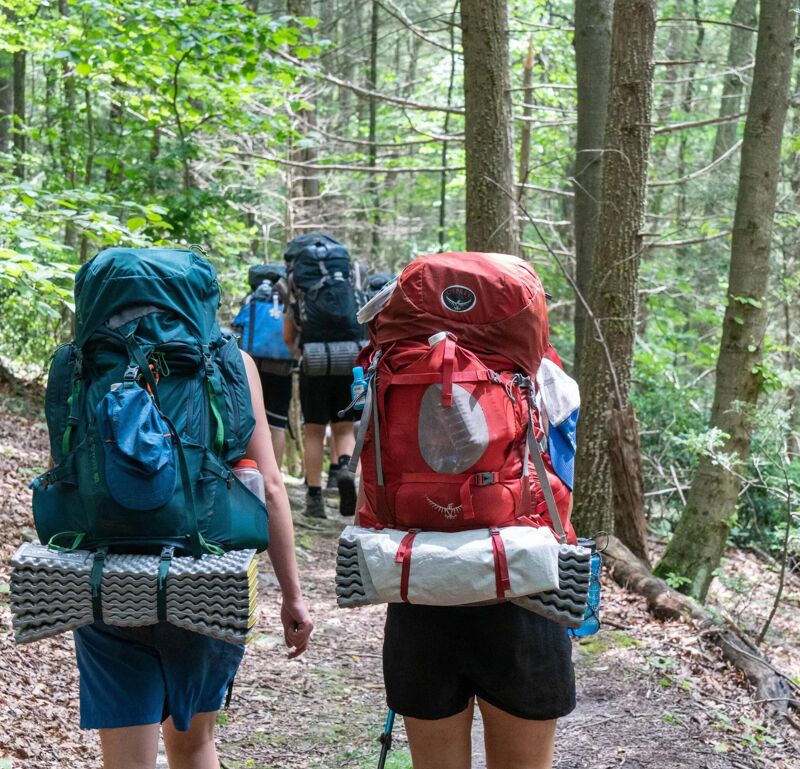 The image shows a group of people hiking in a forest. They are wearing large backpacks and hiking gear. The trail is surrounded by trees and greenery. The hikers appear to be enjoying their time in nature. The focus is on two hikers in the foreground, one with a blue backpack and the other with a red backpack.