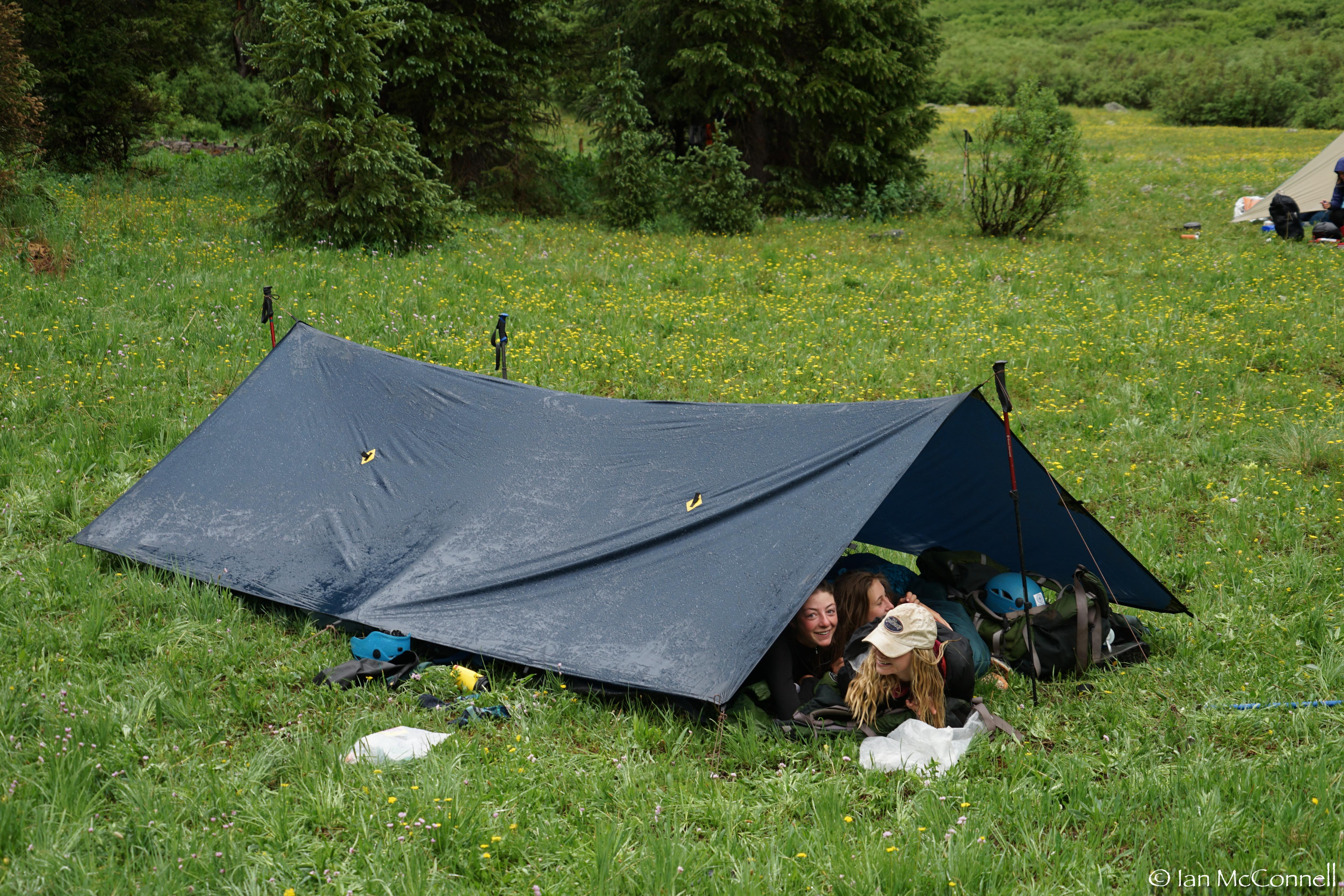 The image shows a dark blue tent pitched on a grassy field. Two people and a dog are inside the tent. Camping gear is visible near the entrance. The surrounding area is green with trees in the background. The weather appears to be overcast.