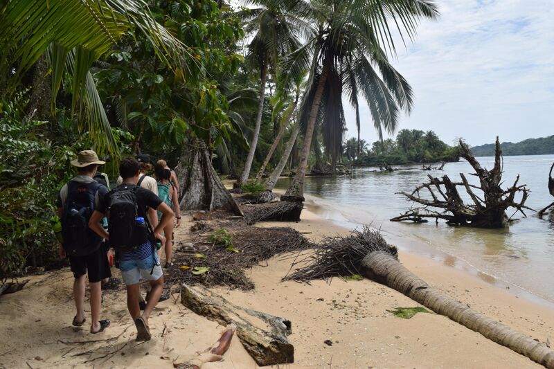 The image shows a group of people walking along a sandy beach. Palm trees and other tropical vegetation line the shore. The water is calm, and there are some fallen trees and debris on the beach. The sky is overcast.