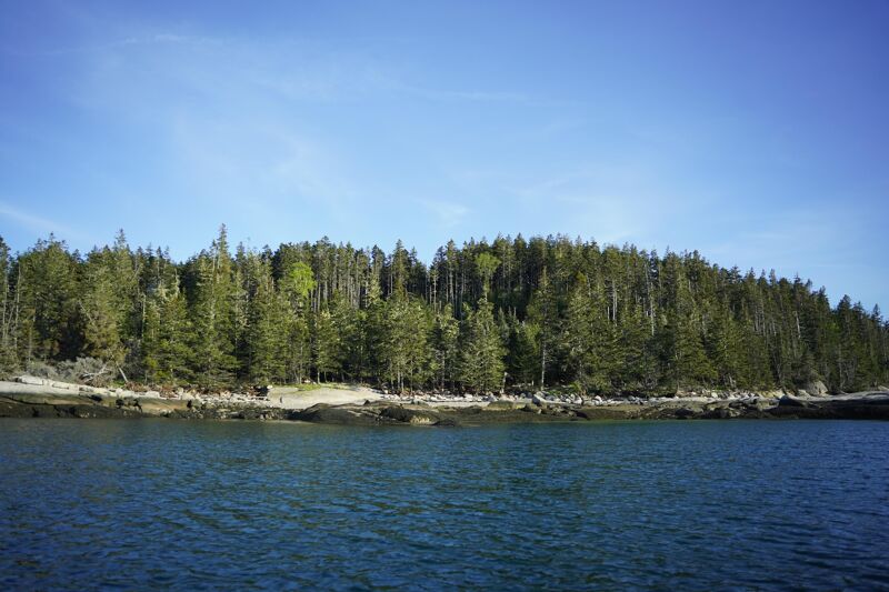 The image shows a coastal scene with a dense forest lining the shore. The water is calm and reflects the blue sky. The trees are a mix of green and brown, suggesting a variety of species. The overall impression is one of natural beauty and tranquility.