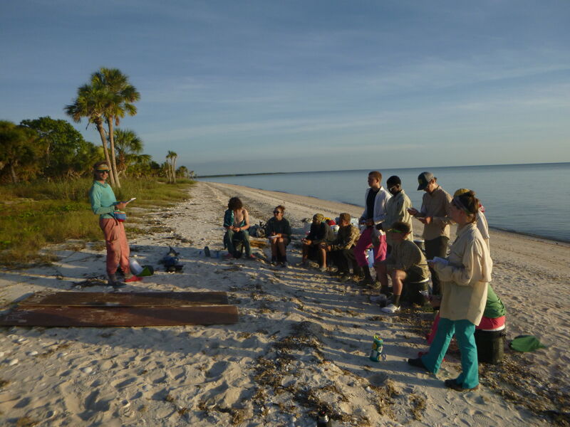 A group of people are gathered on a sandy beach, seemingly listening to a person standing and speaking to them. The speaker is holding a book or clipboard. The group is diverse in age and attire, and they are arranged in a semi-circle facing the speaker. The beach stretches along the coastline, with the ocean visible in the background. The sky is clear and blue, suggesting a pleasant day.
