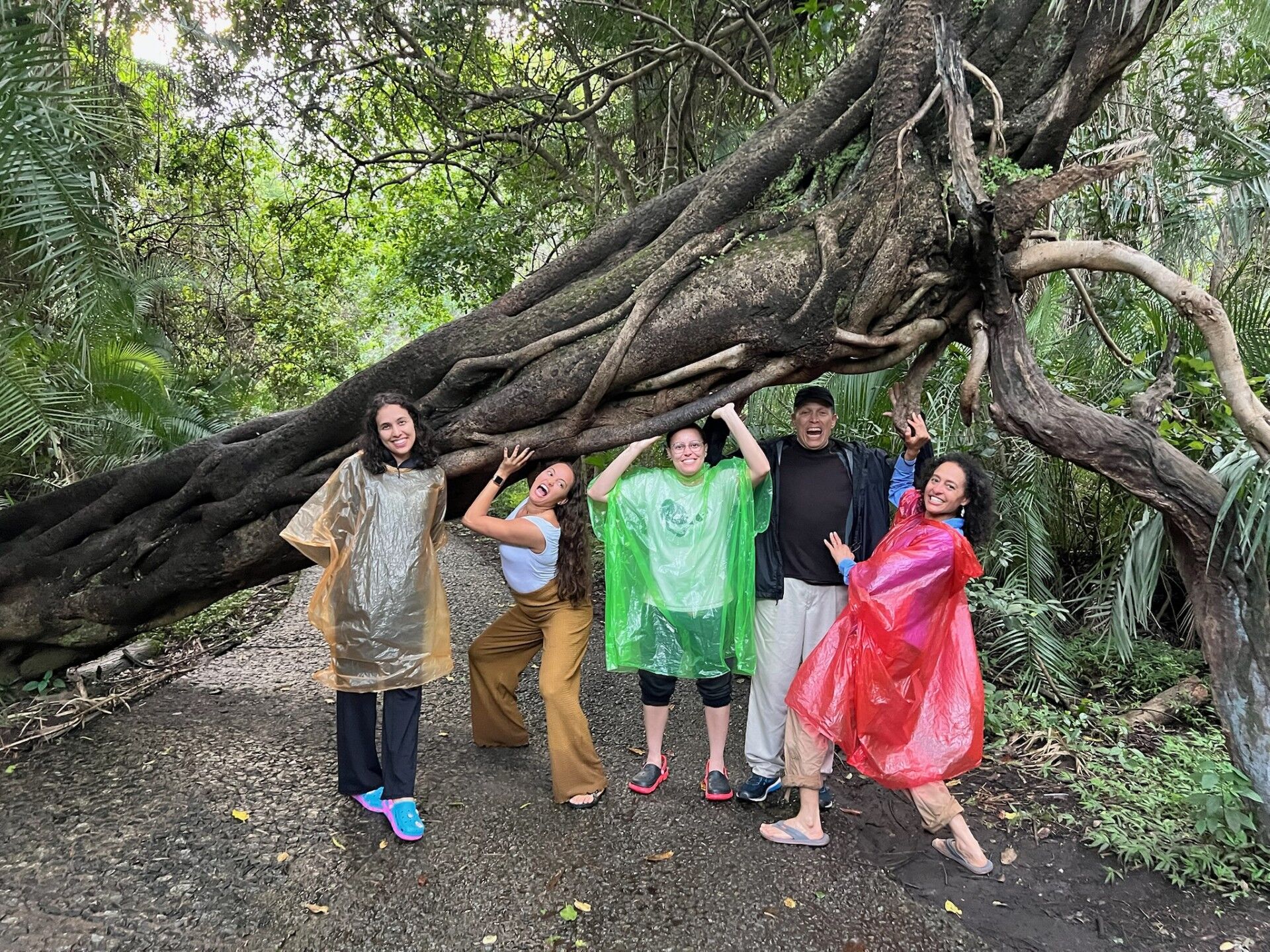 A group of five people, including adults and children, are posing under a large, fallen tree with exposed roots. They are all wearing colorful rain ponchos and appear to be enjoying themselves despite the overcast weather. The setting looks like a park or a nature trail with lush greenery surrounding them.