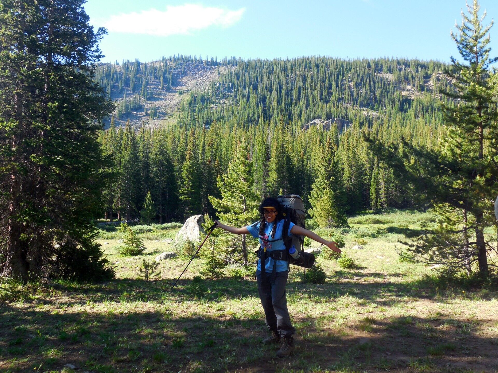 A person with a large backpack and hiking poles is walking through a grassy meadow with scattered trees. They are wearing a hat and sunglasses, and appear to be enjoying the outdoors. The background features a dense forest of pine trees leading up to a mountain slope under a clear blue sky.