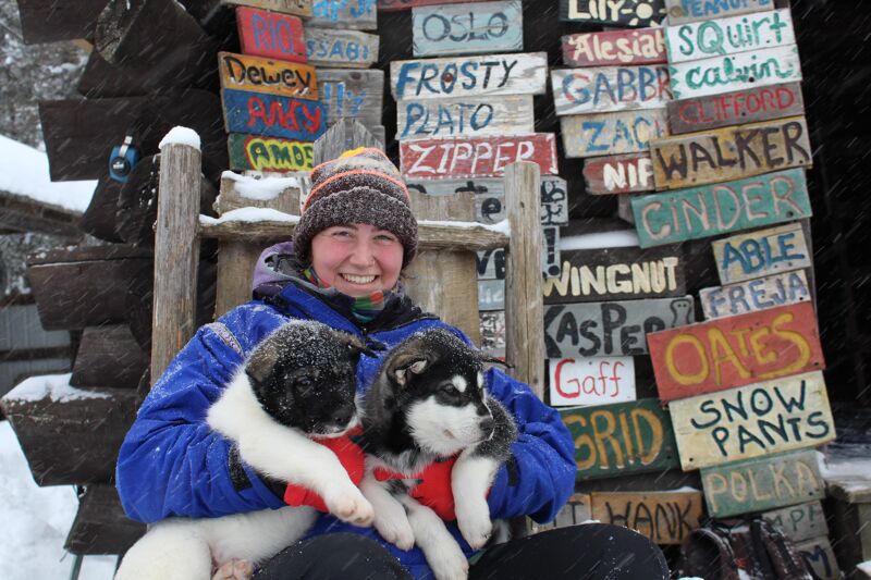 A woman wearing a blue jacket and a beanie is sitting in a wooden chair, holding two husky puppies. Snow is falling around her. Behind her is a wall of wooden signs with various names and words painted on them, such as "OSLO", "FROSTY", "CINDER", and "SNOW PANTS". The scene appears to be outdoors, possibly at a dog sledding or kennel location.