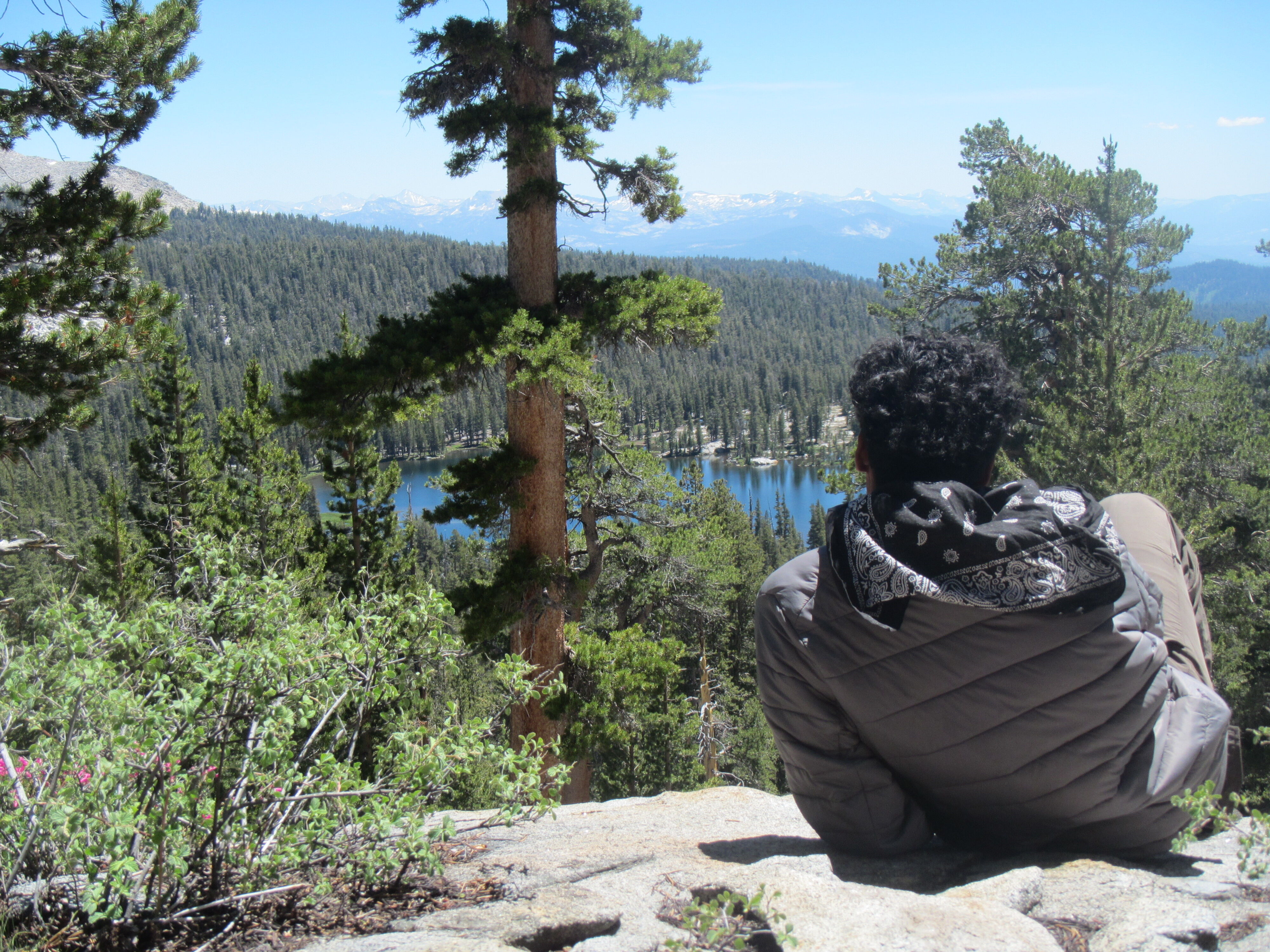 A person sits on a rocky outcrop, gazing out at a serene lake nestled amidst a dense forest. The scene is framed by lush greenery and tall trees, with distant mountains visible on the horizon under a clear sky. The individual appears to be enjoying a moment of peaceful contemplation in this natural setting.