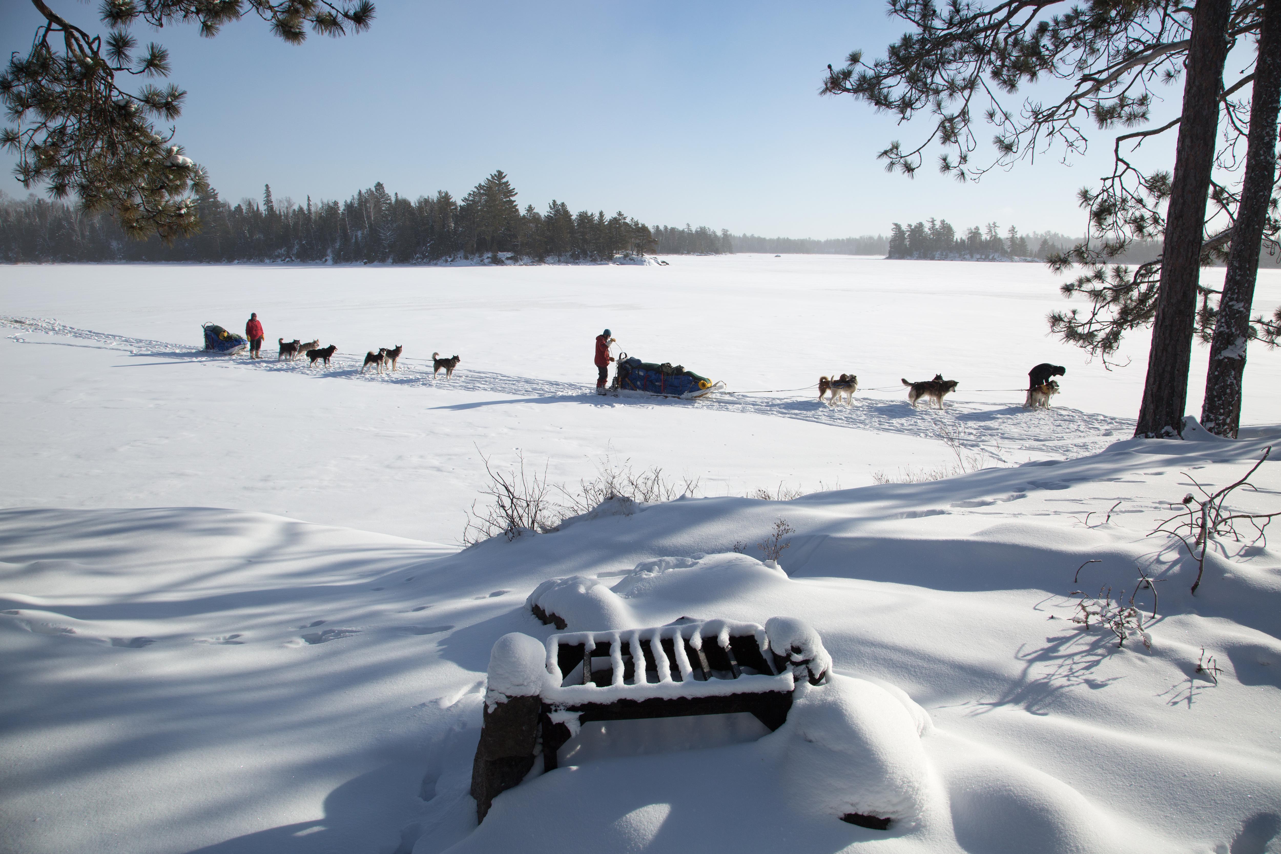 The image shows a snowy landscape with a team of dogs pulling a sled across a frozen lake. There are several people present, likely the mushers. The scene is set on a bright, sunny day, with trees framing the edges of the lake. The foreground features snow-covered objects.